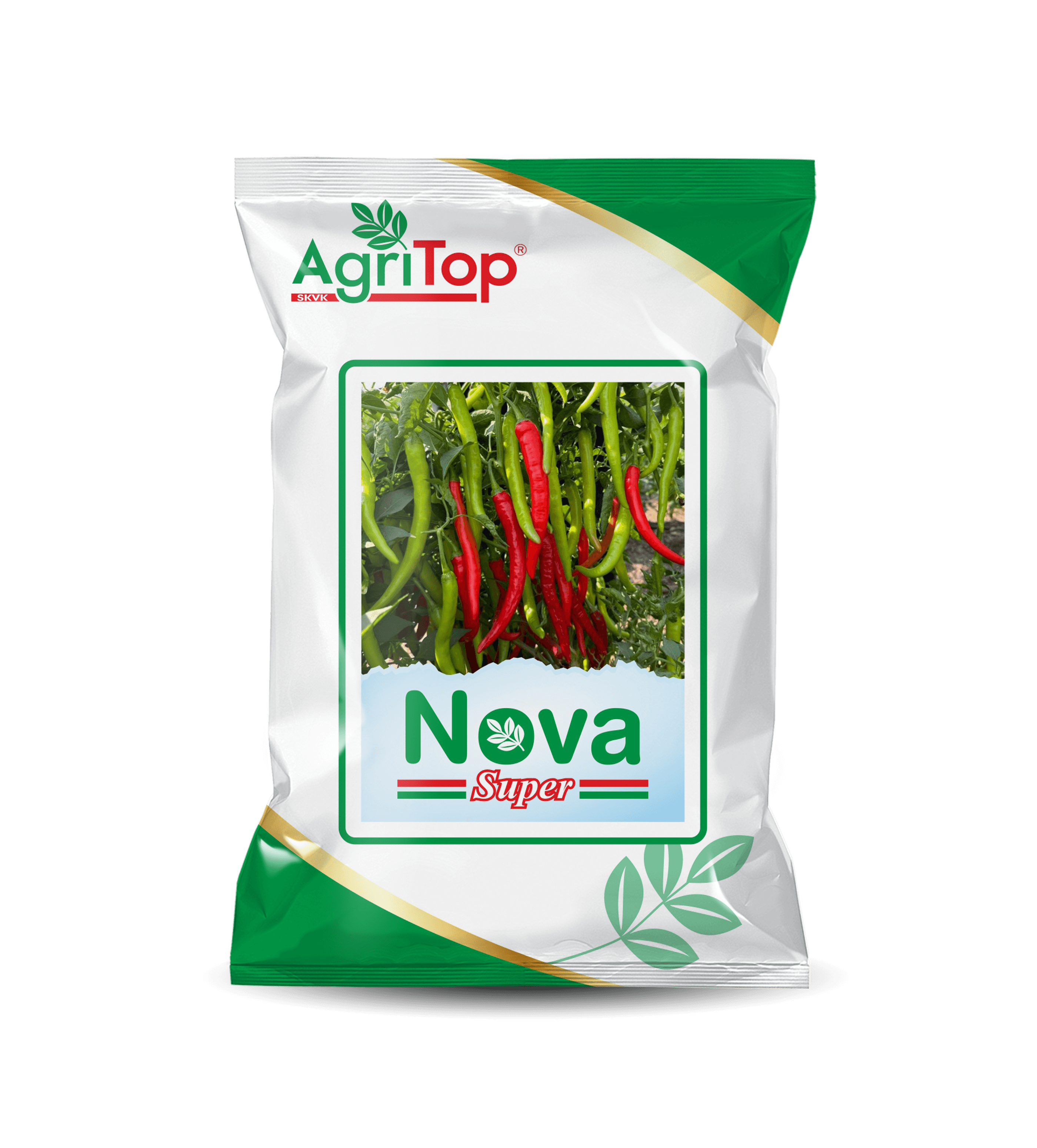Nova