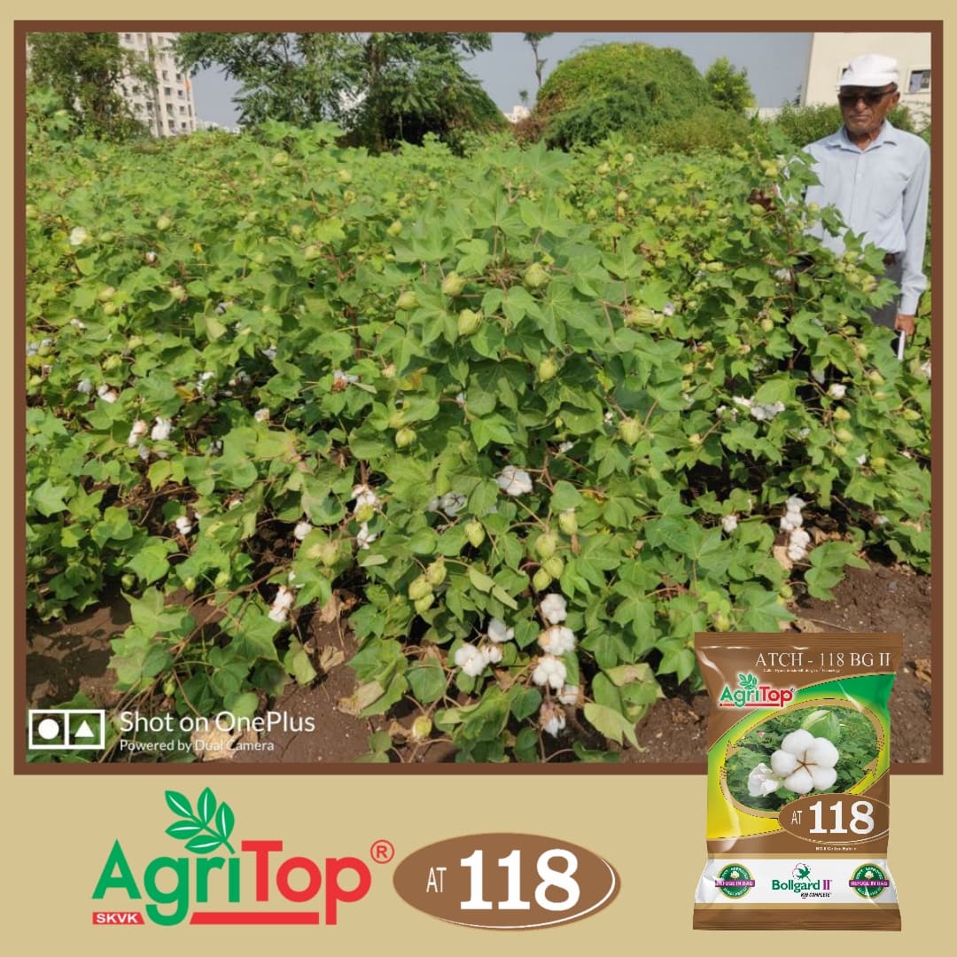 Agricultural Research